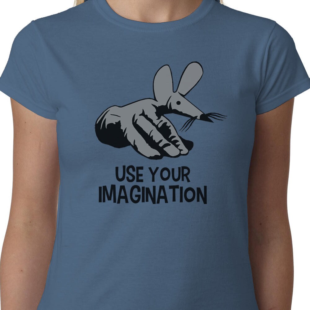 Use Your Imagination ladies t-shirt